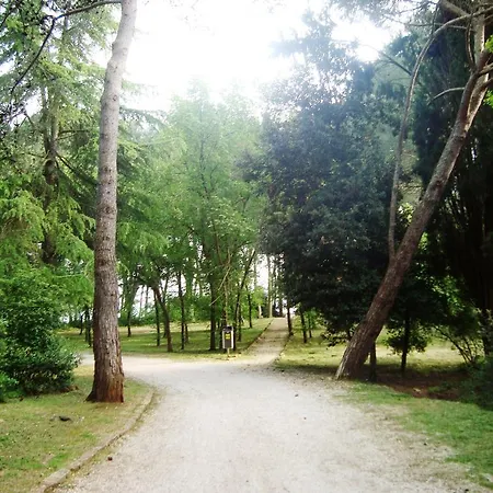 Marmelina